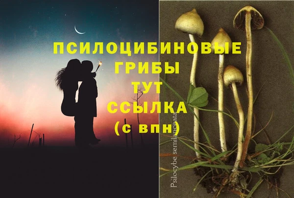 мяу мяу кристалл Снежногорск