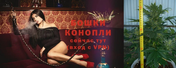 прущая мука Верея