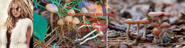 дурь Слюдянка